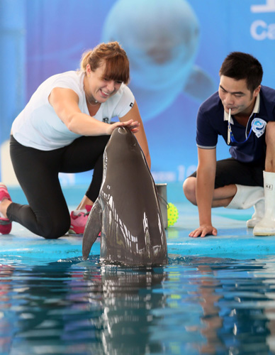 以凌厉的攻 以凌厉的攻